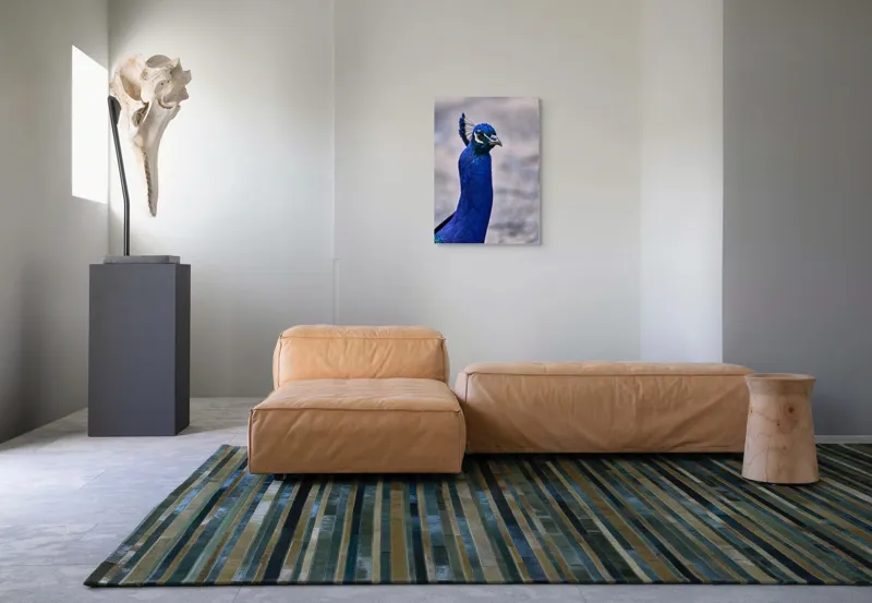 Tablou Canvas, "Strălucirea regală a păunului albastru", Pene, Albastru, Elegant, Penaj, Grațios, Regal, Strălucitor, Majestic., 50 x 70 cm – poza 7
