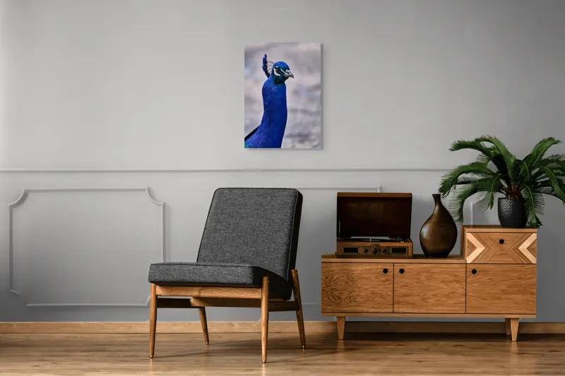 Tablou Canvas, "Strălucirea regală a păunului albastru", Pene, Albastru, Elegant, Penaj, Grațios, Regal, Strălucitor, Majestic., 50 x 70 cm – poza 8