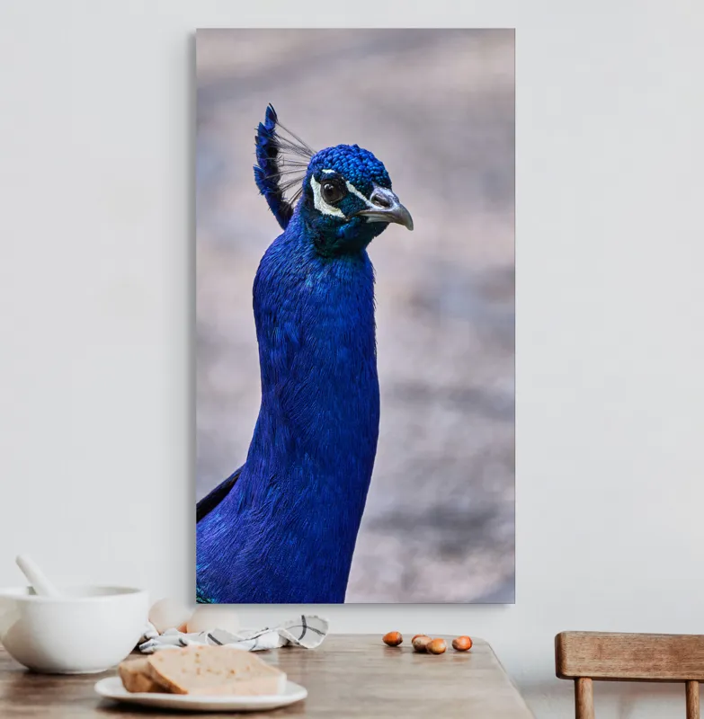 Tablou Canvas, "Strălucirea regală a păunului albastru", Pene, Albastru, Elegant, Penaj, Grațios, Regal, Strălucitor, Majestic., 50 x 90 cm – poza 3