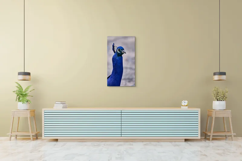 Tablou Canvas, "Strălucirea regală a păunului albastru", Pene, Albastru, Elegant, Penaj, Grațios, Regal, Strălucitor, Majestic., 50 x 90 cm – poza 6