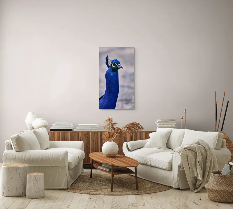 Tablou Canvas, "Strălucirea regală a păunului albastru", Pene, Albastru, Elegant, Penaj, Grațios, Regal, Strălucitor, Majestic., 50 x 90 cm – poza 7