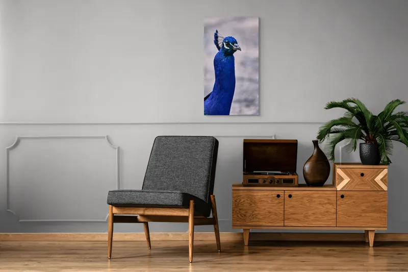 Tablou Canvas, "Strălucirea regală a păunului albastru", Pene, Albastru, Elegant, Penaj, Grațios, Regal, Strălucitor, Majestic., 50 x 90 cm – poza 8
