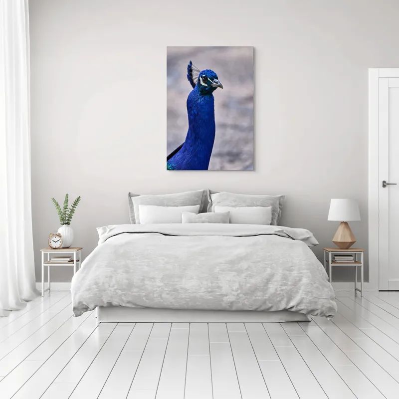 Tablou Canvas, "Strălucirea regală a păunului albastru", Pene, Albastru, Elegant, Penaj, Grațios, Regal, Strălucitor, Majestic., 70 x 100 cm – poza 3