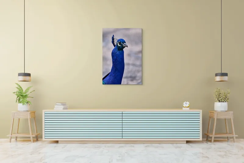 Tablou Canvas, "Strălucirea regală a păunului albastru", Pene, Albastru, Elegant, Penaj, Grațios, Regal, Strălucitor, Majestic., 70 x 100 cm – poza 5