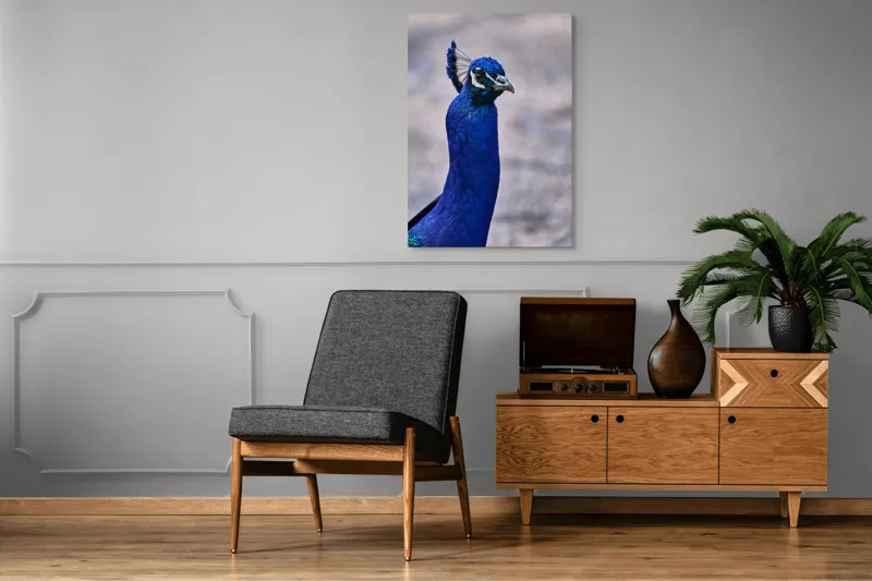 Tablou Canvas, "Strălucirea regală a păunului albastru", Pene, Albastru, Elegant, Penaj, Grațios, Regal, Strălucitor, Majestic., 70 x 100 cm – poza 6