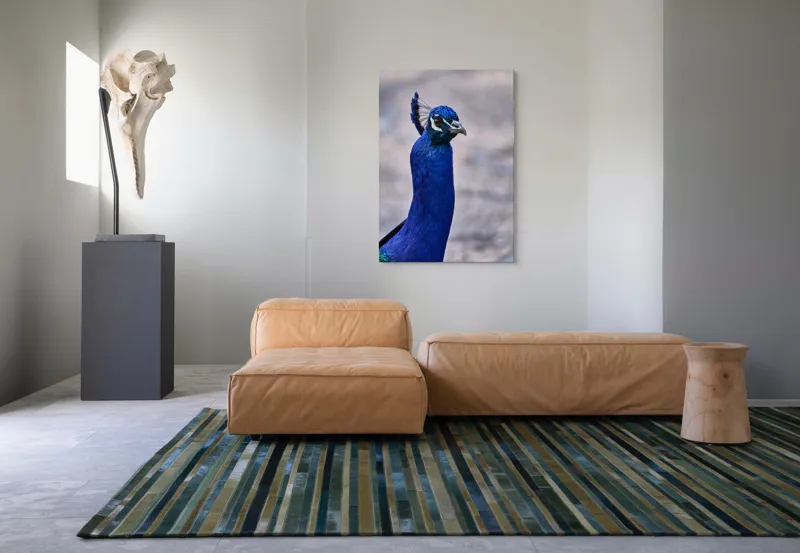 Tablou Canvas, "Strălucirea regală a păunului albastru", Pene, Albastru, Elegant, Penaj, Grațios, Regal, Strălucitor, Majestic., 70 x 100 cm – poza 7