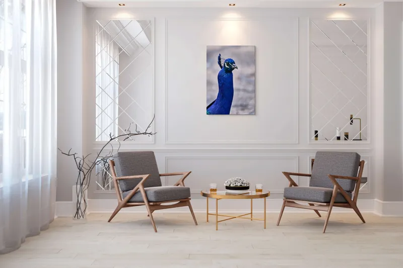 Tablou Canvas, "Strălucirea regală a păunului albastru", Pene, Albastru, Elegant, Penaj, Grațios, Regal, Strălucitor, Majestic., 70 x 100 cm – poza 8