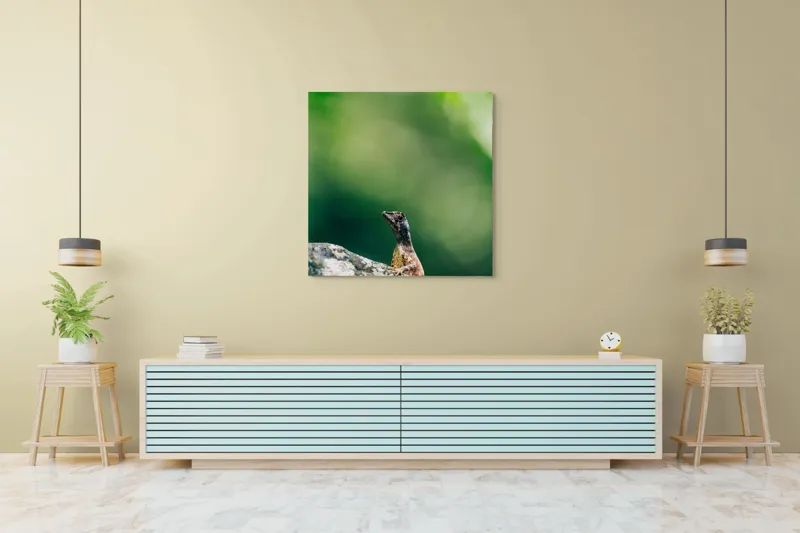 Tablou Canvas, "Șopârla solitară pe piatra bătrână", Natură, Lizard, Piatră, Verde, Camuflaj, Tranquilitate, Frunze, Bokeh, 100 x 100 cm – poza 5