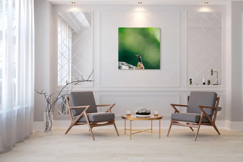 Tablou Canvas, "Șopârla solitară pe piatra bătrână", Natură, Lizard, Piatră, Verde, Camuflaj, Tranquilitate, Frunze, Bokeh, 100 x 100 cm – poza 7