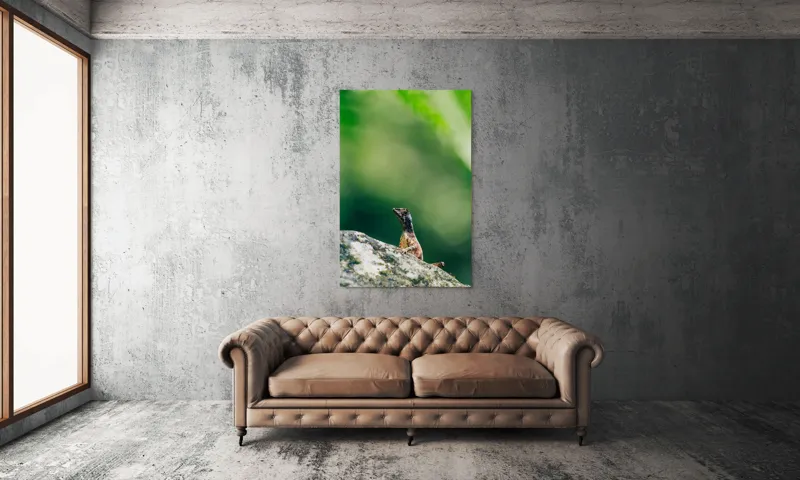 Tablou Canvas, "Șopârla solitară pe piatra bătrână", Natură, Lizard, Piatră, Verde, Camuflaj, Tranquilitate, Frunze, Bokeh, 100 x 150 cm – poza 6