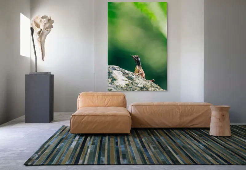 Tablou Canvas, "Șopârla solitară pe piatra bătrână", Natură, Lizard, Piatră, Verde, Camuflaj, Tranquilitate, Frunze, Bokeh, 100 x 150 cm – poza 7