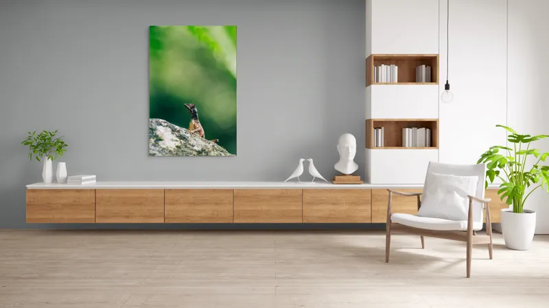 Tablou Canvas, "Șopârla solitară pe piatra bătrână", Natură, Lizard, Piatră, Verde, Camuflaj, Tranquilitate, Frunze, Bokeh, 100 x 150 cm – poza 8