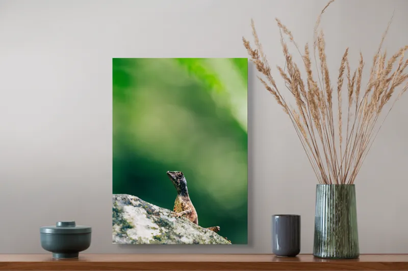 Tablou Canvas, "Șopârla solitară pe piatra bătrână", Natură, Lizard, Piatră, Verde, Camuflaj, Tranquilitate, Frunze, Bokeh, 39 x 54 cm – poza 3