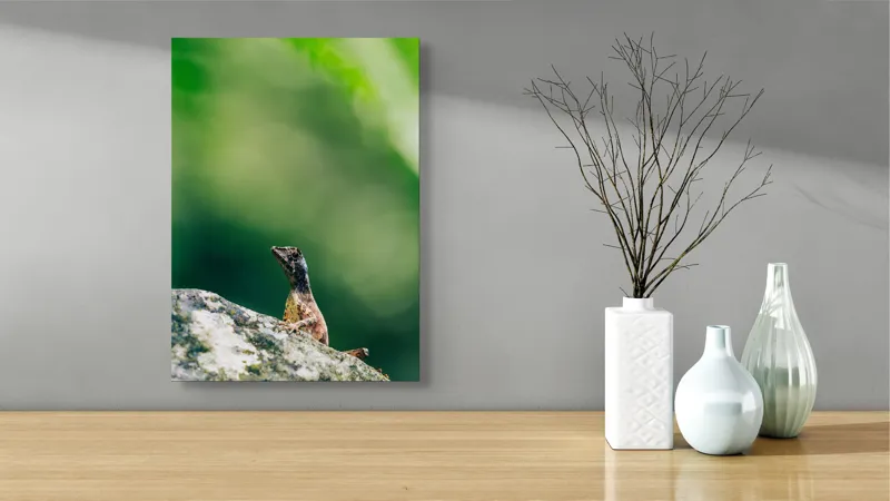 Tablou Canvas, "Șopârla solitară pe piatra bătrână", Natură, Lizard, Piatră, Verde, Camuflaj, Tranquilitate, Frunze, Bokeh, 39 x 54 cm – poza 4
