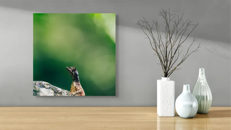 Tablou Canvas, "Șopârla solitară pe piatra bătrână", Natură, Lizard, Piatră, Verde, Camuflaj, Tranquilitate, Frunze, Bokeh, 50 x 50 cm – poza 3