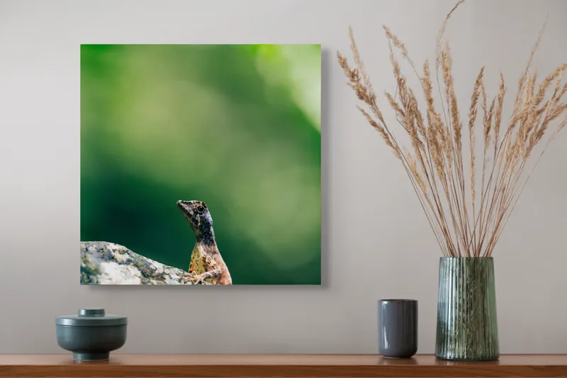 Tablou Canvas, "Șopârla solitară pe piatra bătrână", Natură, Lizard, Piatră, Verde, Camuflaj, Tranquilitate, Frunze, Bokeh, 50 x 50 cm – poza 4