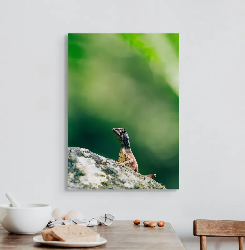 Tablou Canvas, "Șopârla solitară pe piatra bătrână", Natură, Lizard, Piatră, Verde, Camuflaj, Tranquilitate, Frunze, Bokeh, 50 x 70 cm – poza 3