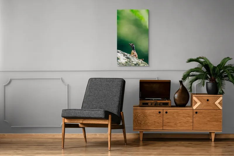 Tablou Canvas, "Șopârla solitară pe piatra bătrână", Natură, Lizard, Piatră, Verde, Camuflaj, Tranquilitate, Frunze, Bokeh, 50 x 90 cm – poza 8