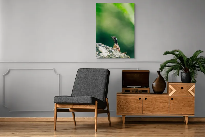 Tablou Canvas, "Șopârla solitară pe piatra bătrână", Natură, Lizard, Piatră, Verde, Camuflaj, Tranquilitate, Frunze, Bokeh, 70 x 100 cm – poza 6