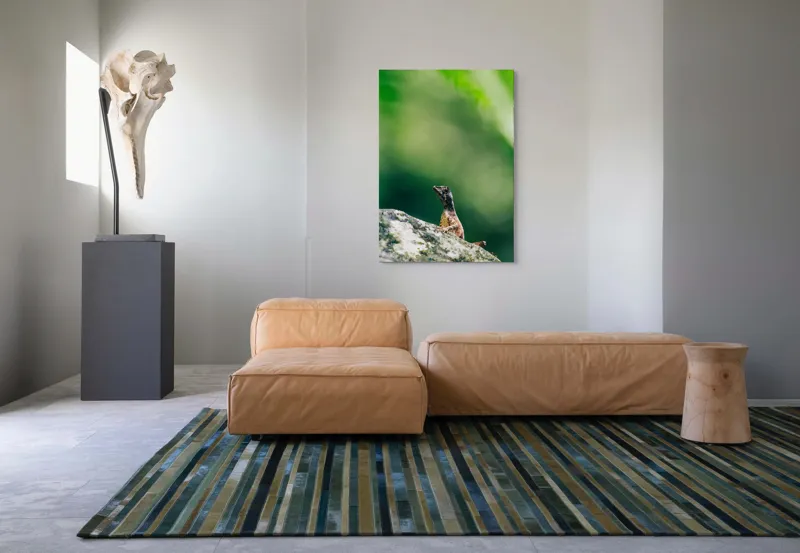 Tablou Canvas, "Șopârla solitară pe piatra bătrână", Natură, Lizard, Piatră, Verde, Camuflaj, Tranquilitate, Frunze, Bokeh, 70 x 100 cm – poza 7