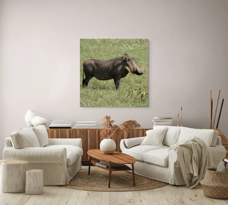 Tablou Canvas, "Porcul mistreț în habitatul său natural", I don't know who this is., 100 x 100 cm – poza 3