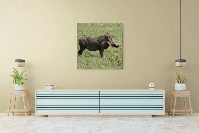 Tablou Canvas, "Porcul mistreț în habitatul său natural", I don't know who this is., 100 x 100 cm – poza 5