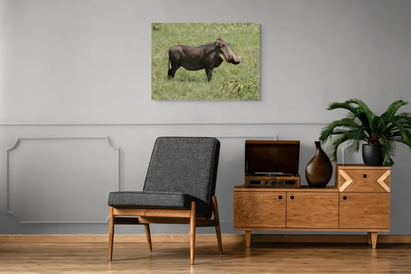 Tablou Canvas, "Porcul mistreț în habitatul său natural", I don't know who this is., 100 x 70 cm – poza 8