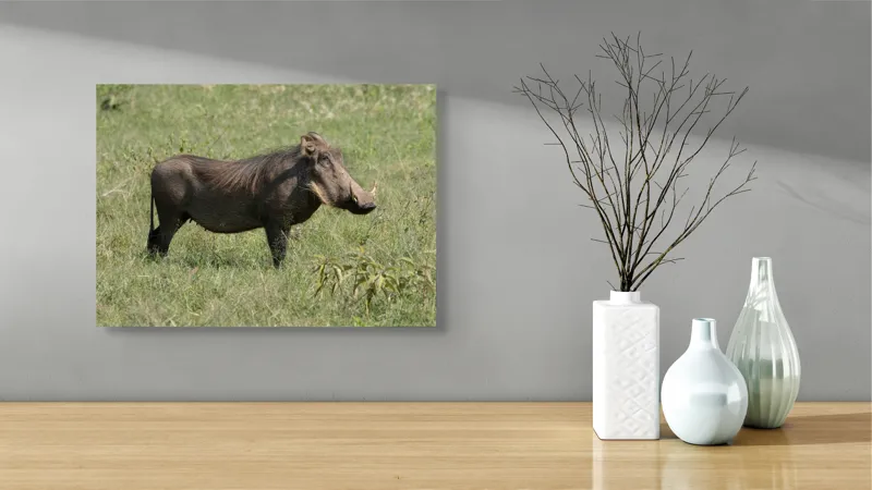 Tablou Canvas, "Porcul mistreț în habitatul său natural", I don't know who this is., 54 x 39 cm – poza 3