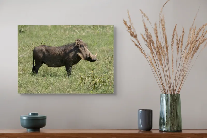 Tablou Canvas, "Porcul mistreț în habitatul său natural", I don't know who this is., 54 x 39 cm – poza 4