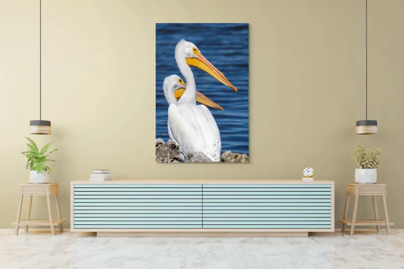 Tablou Canvas, "Pelicani albi pe malul apei", Pelicani, Apă, Penaj, Ciocuri, Cuplu, Natură, Serenitate, Reflexii, 100 x 150 cm – poza 4