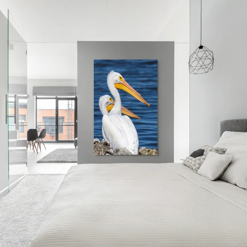 Tablou Canvas, "Pelicani albi pe malul apei", Pelicani, Apă, Penaj, Ciocuri, Cuplu, Natură, Serenitate, Reflexii, 100 x 150 cm – poza 5