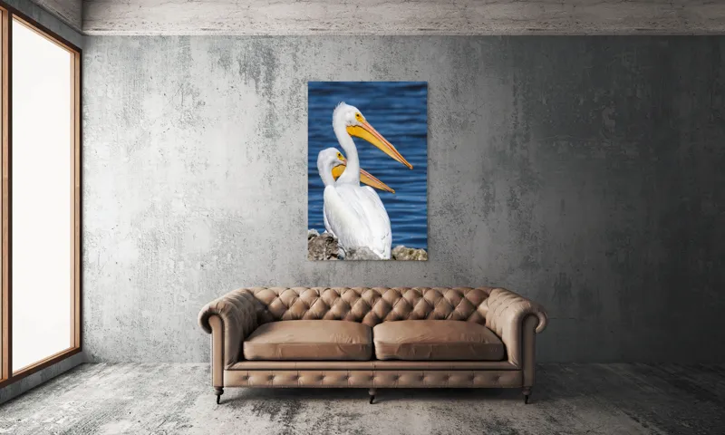 Tablou Canvas, "Pelicani albi pe malul apei", Pelicani, Apă, Penaj, Ciocuri, Cuplu, Natură, Serenitate, Reflexii, 100 x 150 cm – poza 6