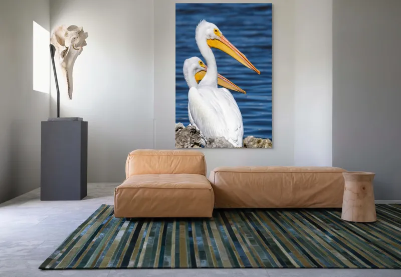 Tablou Canvas, "Pelicani albi pe malul apei", Pelicani, Apă, Penaj, Ciocuri, Cuplu, Natură, Serenitate, Reflexii, 100 x 150 cm – poza 7