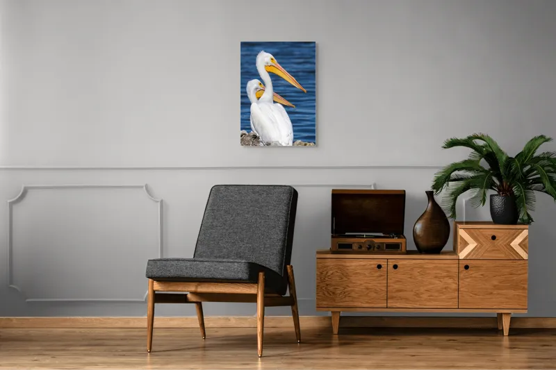 Tablou Canvas, "Pelicani albi pe malul apei", Pelicani, Apă, Penaj, Ciocuri, Cuplu, Natură, Serenitate, Reflexii, 50 x 70 cm – poza 8