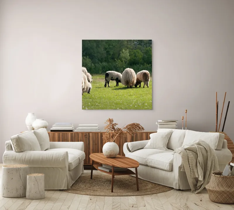 Tablou Canvas, "Oile pe câmp la păscut", Oaie, Turmă, Pășune, Verdeață, Lână, Natură, Peisaj, Pădure, Câmpie, Animale., 100 x 100 cm – poza 3