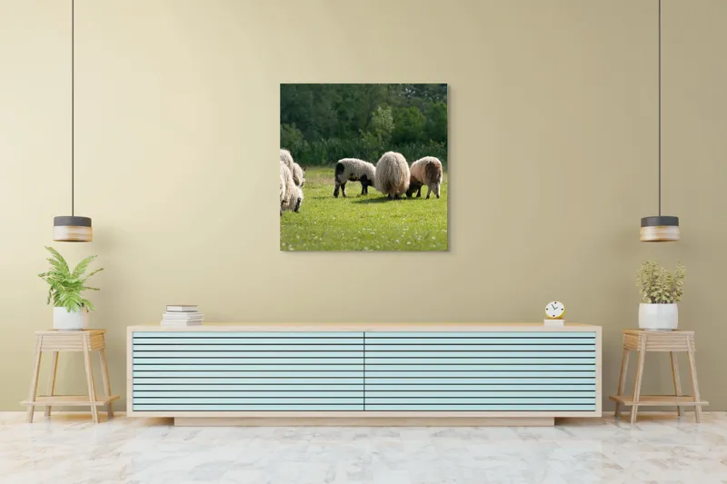 Tablou Canvas, "Oile pe câmp la păscut", Oaie, Turmă, Pășune, Verdeață, Lână, Natură, Peisaj, Pădure, Câmpie, Animale., 100 x 100 cm – poza 5
