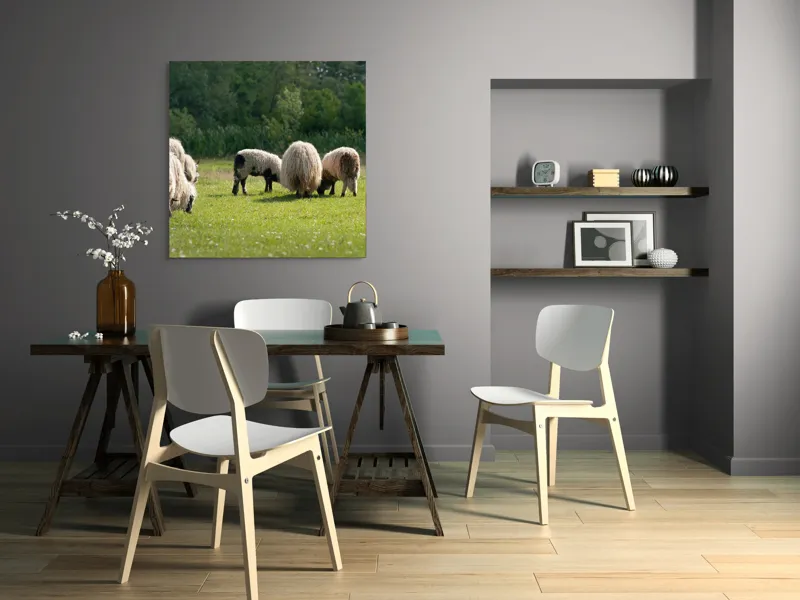 Tablou Canvas, "Oile pe câmp la păscut", Oaie, Turmă, Pășune, Verdeață, Lână, Natură, Peisaj, Pădure, Câmpie, Animale., 100 x 100 cm – poza 6