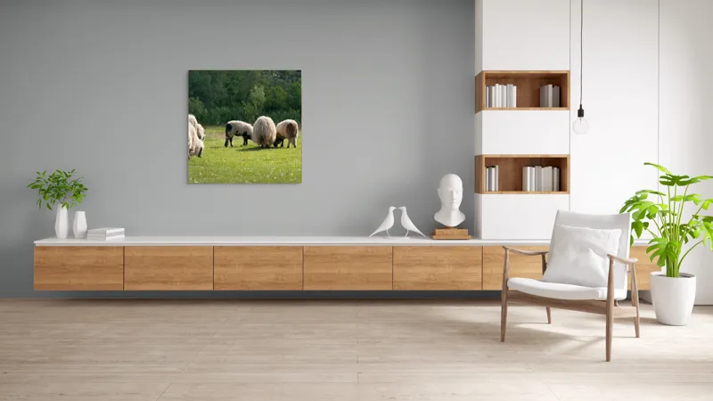 Tablou Canvas, "Oile pe câmp la păscut", Oaie, Turmă, Pășune, Verdeață, Lână, Natură, Peisaj, Pădure, Câmpie, Animale., 100 x 100 cm – poza 8
