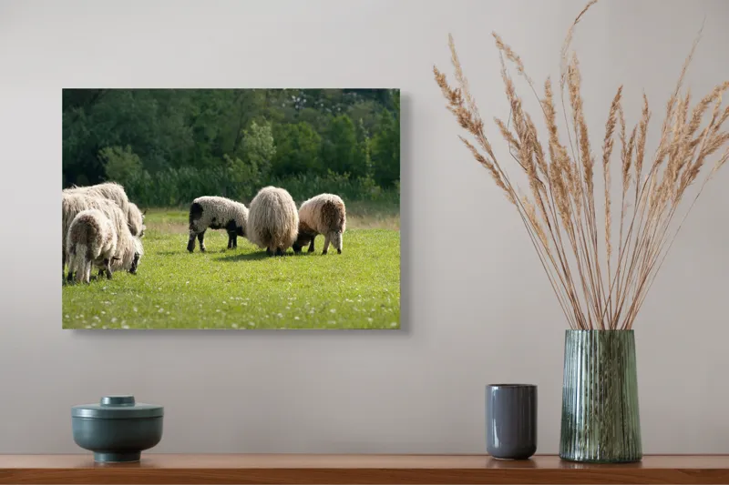 Tablou Canvas, "Oile pe câmp la păscut", Oaie, Turmă, Pășune, Verdeață, Lână, Natură, Peisaj, Pădure, Câmpie, Animale., 54 x 39 cm – poza 4