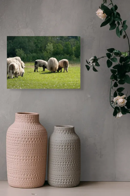 Tablou Canvas, "Oile pe câmp la păscut", Oaie, Turmă, Pășune, Verdeață, Lână, Natură, Peisaj, Pădure, Câmpie, Animale., 54 x 39 cm – poza 8