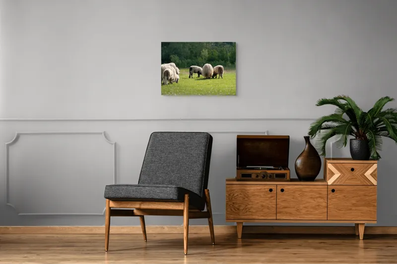 Tablou Canvas, "Oile pe câmp la păscut", Oaie, Turmă, Pășune, Verdeață, Lână, Natură, Peisaj, Pădure, Câmpie, Animale., 70 x 50 cm – poza 4