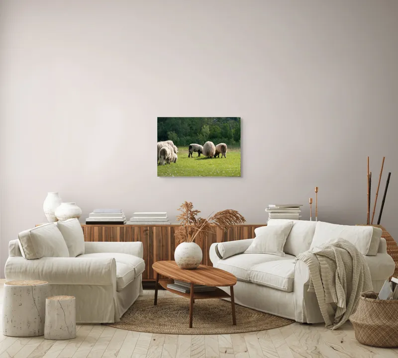 Tablou Canvas, "Oile pe câmp la păscut", Oaie, Turmă, Pășune, Verdeață, Lână, Natură, Peisaj, Pădure, Câmpie, Animale., 70 x 50 cm – poza 6