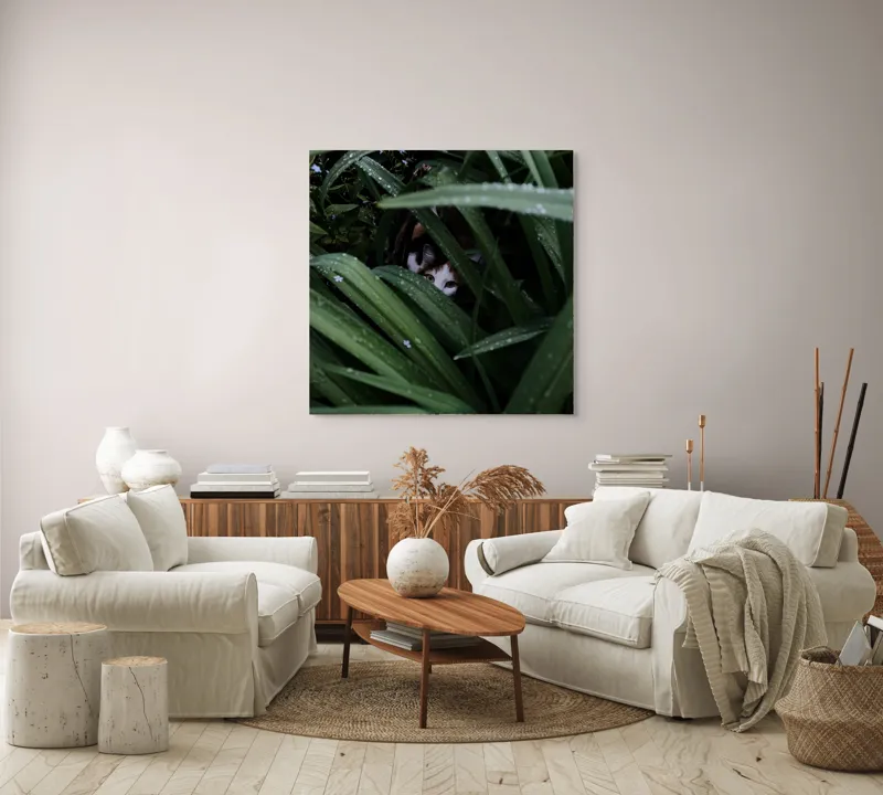 Tablou Canvas, "Pisica ascunsă printre frunze verzi", Frunze, Pisică, Privire, Plante, Picături, Verde, Ascuns, Natură, 100 x 100 cm – poza 3