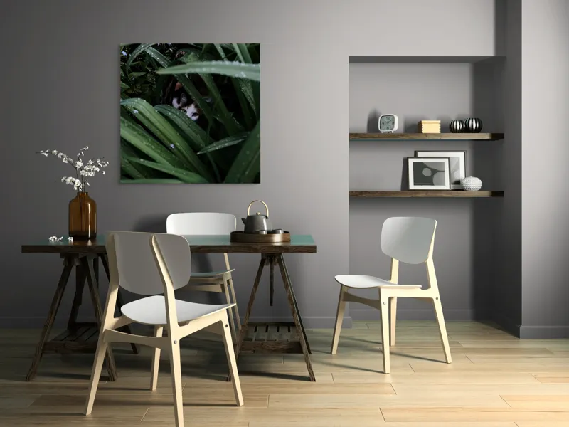 Tablou Canvas, "Pisica ascunsă printre frunze verzi", Frunze, Pisică, Privire, Plante, Picături, Verde, Ascuns, Natură, 100 x 100 cm – poza 6