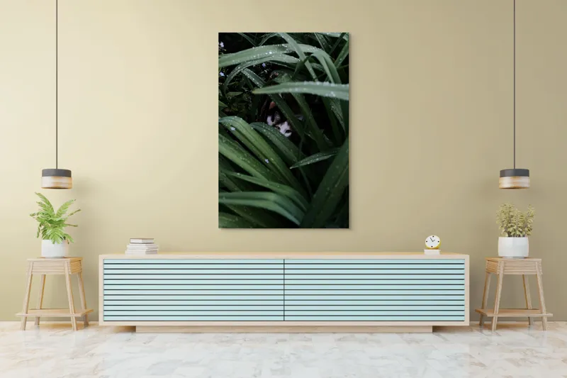Tablou Canvas, "Pisica ascunsă printre frunze verzi", Frunze, Pisică, Privire, Plante, Picături, Verde, Ascuns, Natură, 100 x 150 cm – poza 4