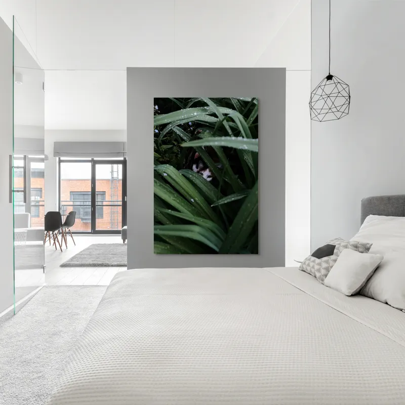 Tablou Canvas, "Pisica ascunsă printre frunze verzi", Frunze, Pisică, Privire, Plante, Picături, Verde, Ascuns, Natură, 100 x 150 cm – poza 5