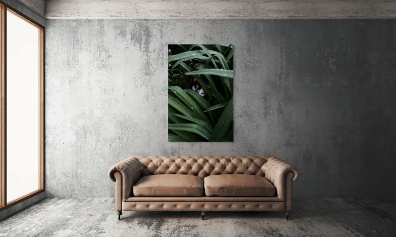Tablou Canvas, "Pisica ascunsă printre frunze verzi", Frunze, Pisică, Privire, Plante, Picături, Verde, Ascuns, Natură, 100 x 150 cm – poza 6