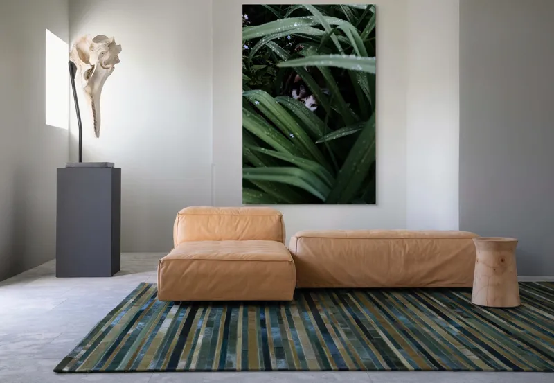 Tablou Canvas, "Pisica ascunsă printre frunze verzi", Frunze, Pisică, Privire, Plante, Picături, Verde, Ascuns, Natură, 100 x 150 cm – poza 7
