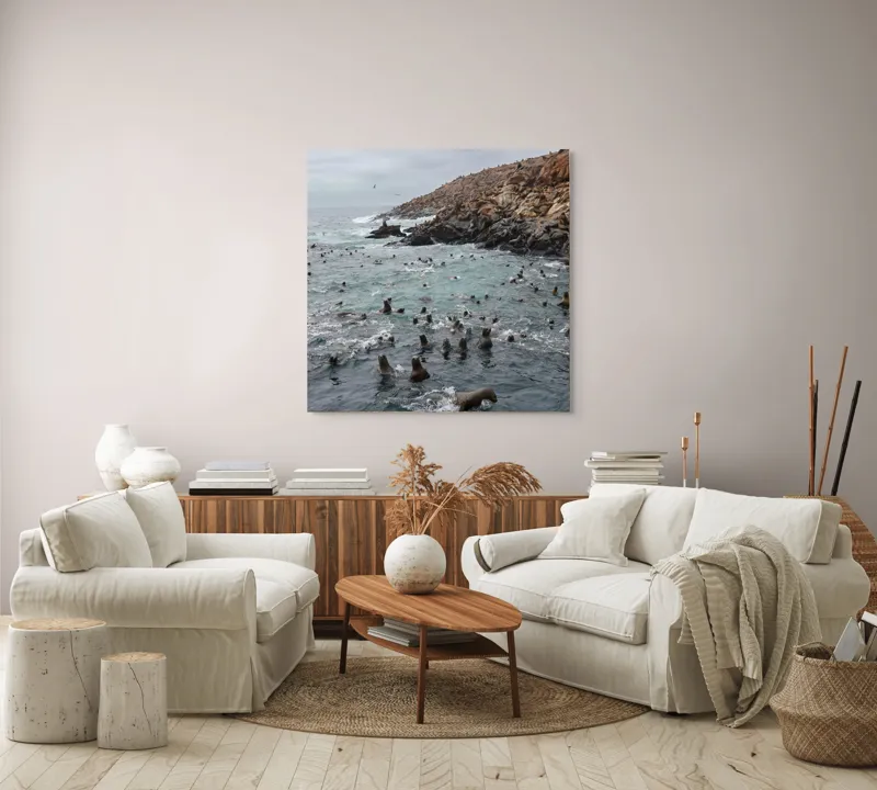 Tablou Canvas, "Colonie de foci la malul stâncos", Lei, Mare, Stânci, Apă, Cer, Păsări, Colonii, Viețuitoare, Natură, Ocean, Vânt, Ecosistem, Insulă, Mediu, Sălbatic, 100 x 100 cm – poza 3