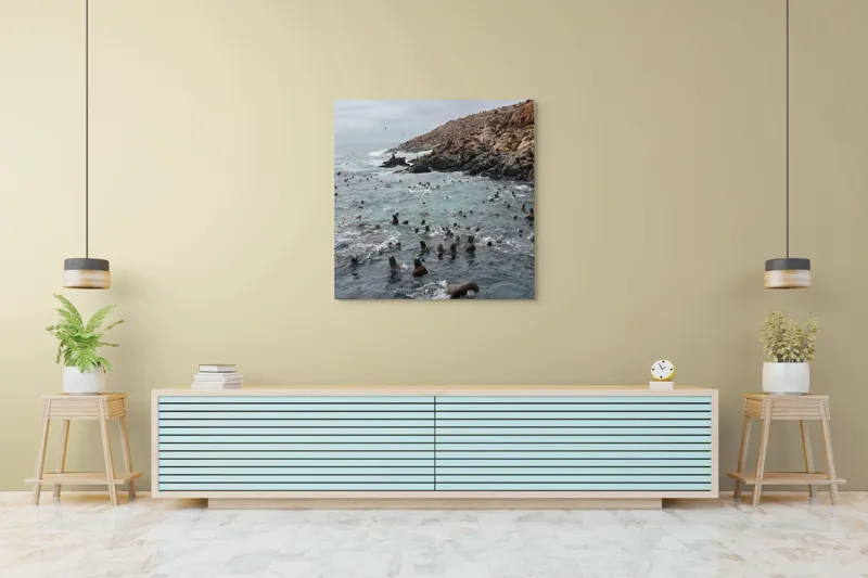 Tablou Canvas, "Colonie de foci la malul stâncos", Lei, Mare, Stânci, Apă, Cer, Păsări, Colonii, Viețuitoare, Natură, Ocean, Vânt, Ecosistem, Insulă, Mediu, Sălbatic, 100 x 100 cm – poza 5